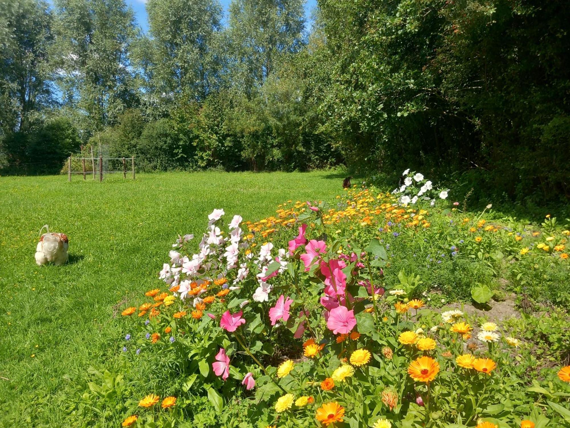 Farm stay Bij Zee Koudekerke