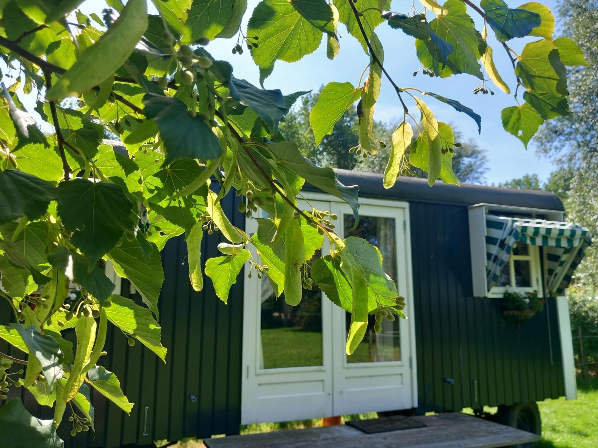 Farm stay Bij Zee