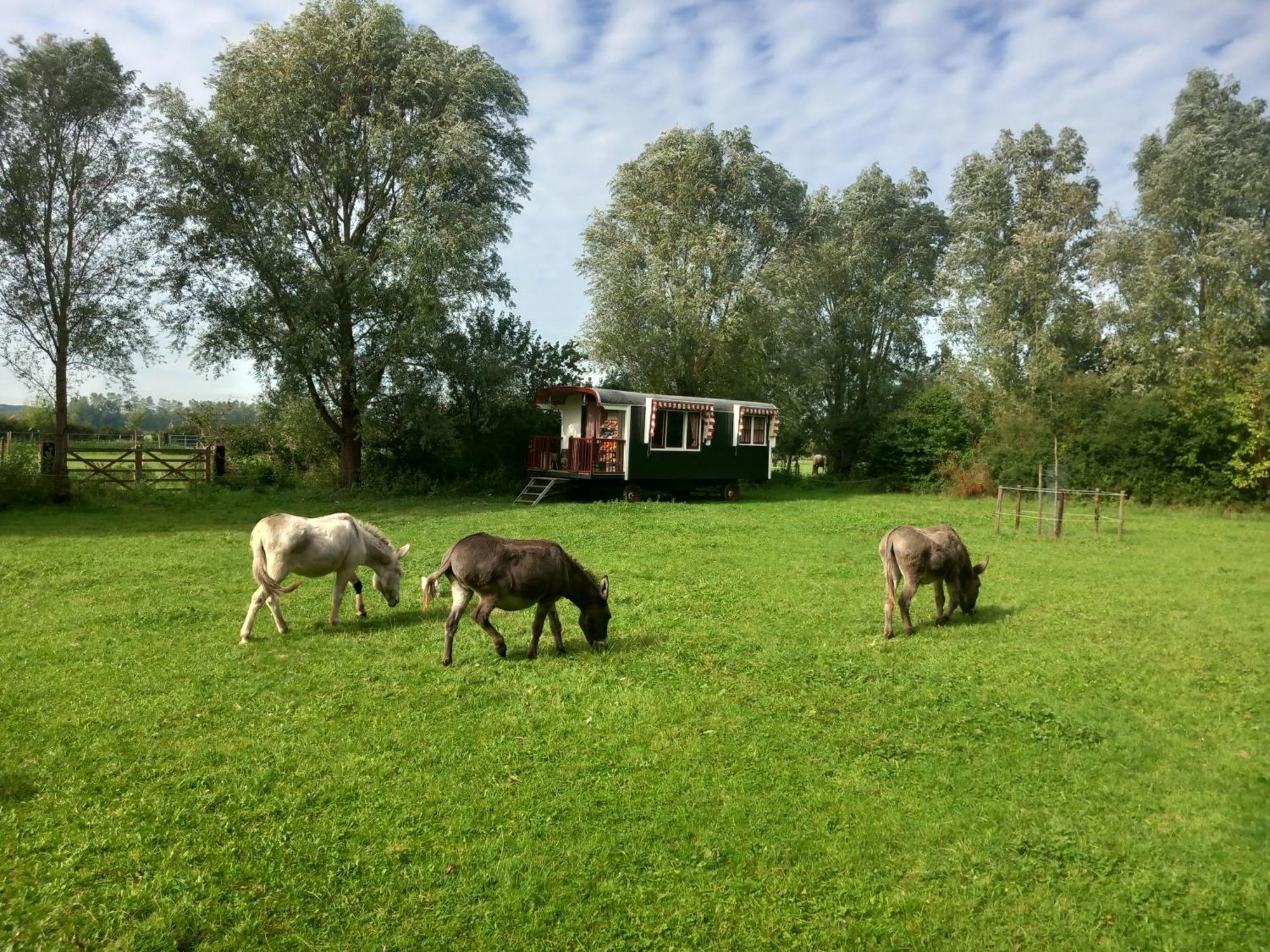 Farm stay Bij Zee